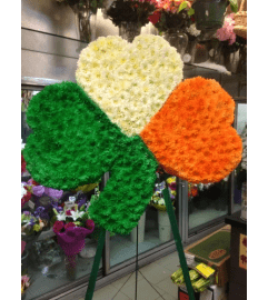 Shamrock in Irish Flag. An arrangement by Garden Florist.
