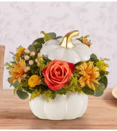 Elegant Autumn White Pumpkin™. An arrangement by Elegant Florist.