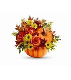 Garden Warm Fall Wishes. An arrangement by Garden Florist.