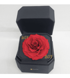 Romantic Preserve Rose. An arrangement by Brickell Exclusive Blooms.