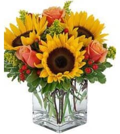 Indiana Sunset. An arrangement by Danville Florist.