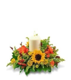 Harvest Light Centerpiece. An arrangement by Danville Florist.