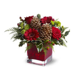 Cozy Christmas TF. An arrangement by Belak Flowers.