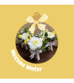 Welcome Winter. An arrangement by Holden's Florists.