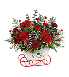 Teleflora's Snow What Fun. An arrangement by Love Story Florist.