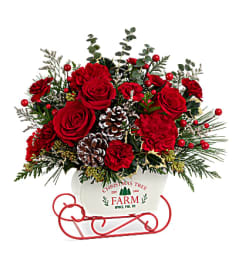 Teleflora's Snow What Fun. An arrangement by Love Story Florist.