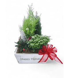 Holiday Winter Garden. An arrangement by Appleblossoms.