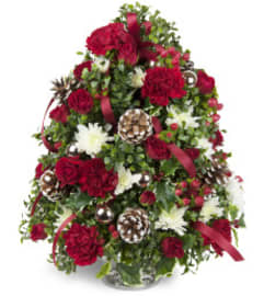 Premium Boxwood Tree. An arrangement by Encore Florals, Wine and Gifts.