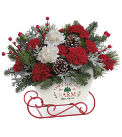 Sleigh for the Season. An arrangement by The Village Green Florist.