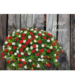 Carnation galore. An arrangement by DMP Flowers and Gifts.