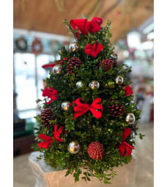 A Holiday Boxwood Tree. An arrangement by Flowers by Peter.