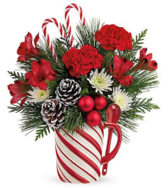 Teleflora's Send a Hug Sweet Stripes Bouquet-COQ. An arrangement by Triple A Florist.