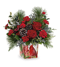 Cardinal for Christmas. An arrangement by Stephenville Floral.