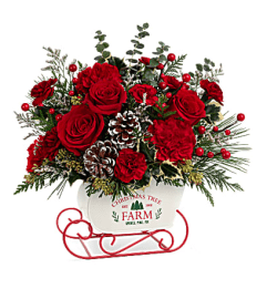 snow what fun bouquet 2023. An arrangement by Shalimar Flower Shop. snow what fun bouquet 2023. An arrangement by Shalimar Flower Shop.
