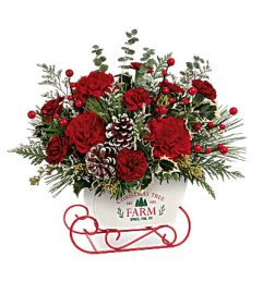 snow what fun bouquet 2023. An arrangement by Shalimar Flower Shop.