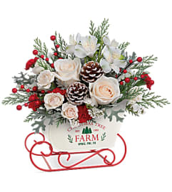 Winter sleigh white Christmas. An arrangement by Big Event Floral and Decorating Co.. Winter sleigh white Christmas. An arrangement by Big Event Floral and Decorating Co..