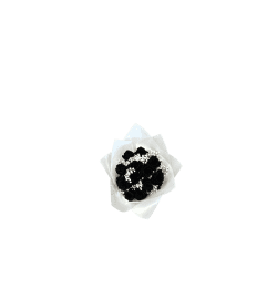 Santos Black Ice. An arrangement by Santos Flowers 2.
