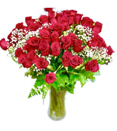 100 Red Roses Arrangement. An arrangement by Flower World and Gifts.