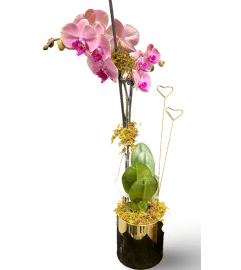 Marivel's Blushing Orchid. An arrangement by Marivel's Florist and Gifts.