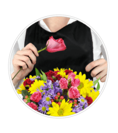 Designer's Choice Daily Deal. An arrangement by Passion Flowers.