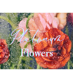 Platinum Flower Arrangement. An arrangement by Vanessa's Flower Shop.