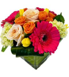 What's Love Got to do With It. An arrangement by The Greenhouse Florist.