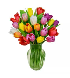 Melody of Tulips ****Locally Grown***. An arrangement by Flowers By Gerry.