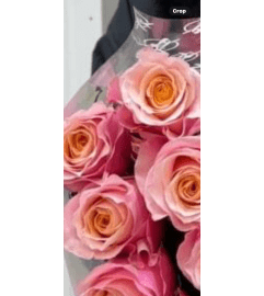 1 Dz Flamingo Specialty rose. An arrangement by The Flower and Gift Shoppe.
