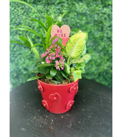 Love Love Love Planter. An arrangement by Marianna's Flower Island. Love Love Love Planter. An arrangement by Marianna's Flower Island.