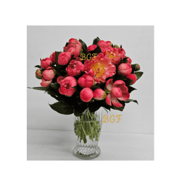 Unique In Peach Peonies. An arrangement by Brickell Exclusive Blooms.
