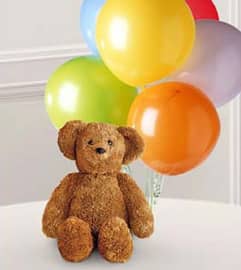 Bear and Balloons. An arrangement by KW Flowers.