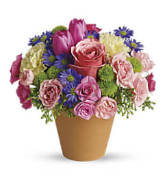 Spring Sonata Pot. An arrangement by Love Story Florist.