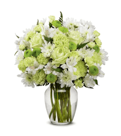 A Elegant Squeeze of Lime. An arrangement by Elegant Florist. A Elegant Squeeze of Lime. An arrangement by Elegant Florist.