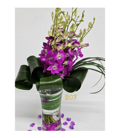 Dendrobium Orchid Monochromatic. An arrangement by Brickell Exclusive Blooms.