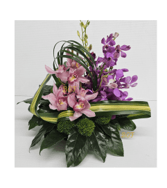 Cymbidium and Mocara Paradise. An arrangement by Aventura Glamour Flowers.