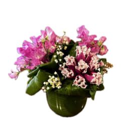 IntiPink special tulips. An arrangement by Inti-Raymi Flowers.