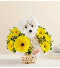 AS THE SICK AS A DOG. An arrangement by J.D. Ballantine's Flowers and Gifts.