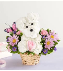 PRECIOUS PUP. An arrangement by J.D. Ballantine's Flowers and Gifts.
