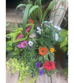 Wendy’s Garden. An arrangement by Morgan Florist.