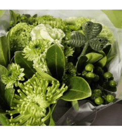 JIMMY'S ST. PATRICKS DAY BOUQUET. An arrangement by Jimmy's Flower Shop.