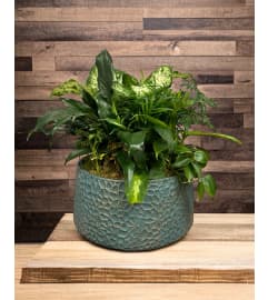 Emerald Garden. An arrangement by Hillsdale Florist.