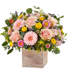 Spring Sentiment. An arrangement by Tallevast Florist.