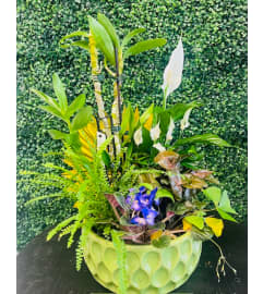 Green Garden. An arrangement by Marianna's Flower Island.