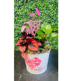 Mother's Day Tin Planter. An arrangement by Marianna's Flower Island. Mother's Day Tin Planter. An arrangement by Marianna's Flower Island.
