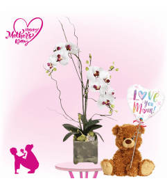 Mom's Orchid Surprise. An arrangement by Select Flowers.