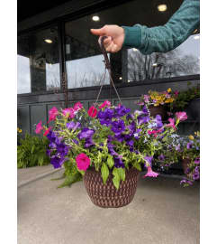 Blooming Hanging Basket. An arrangement by The Farm and Floral Market. Blooming Hanging Basket. An arrangement by The Farm and Floral Market.