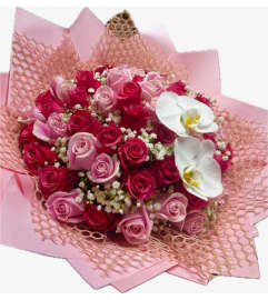 Lovely Pink Buchon. An arrangement by Inspired by You Flower Creations.