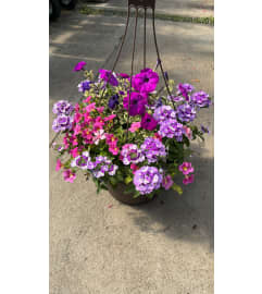 Annual Hanging Basket. An arrangement by Dupree's Root 88 Garden Center and Florist.