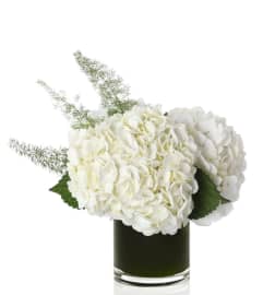 Pure Elegance. An arrangement by Twigs and Blooms Florist.