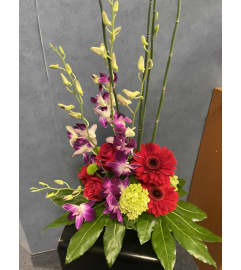 Tropical Arrangement. An arrangement by Ann's Flowers.